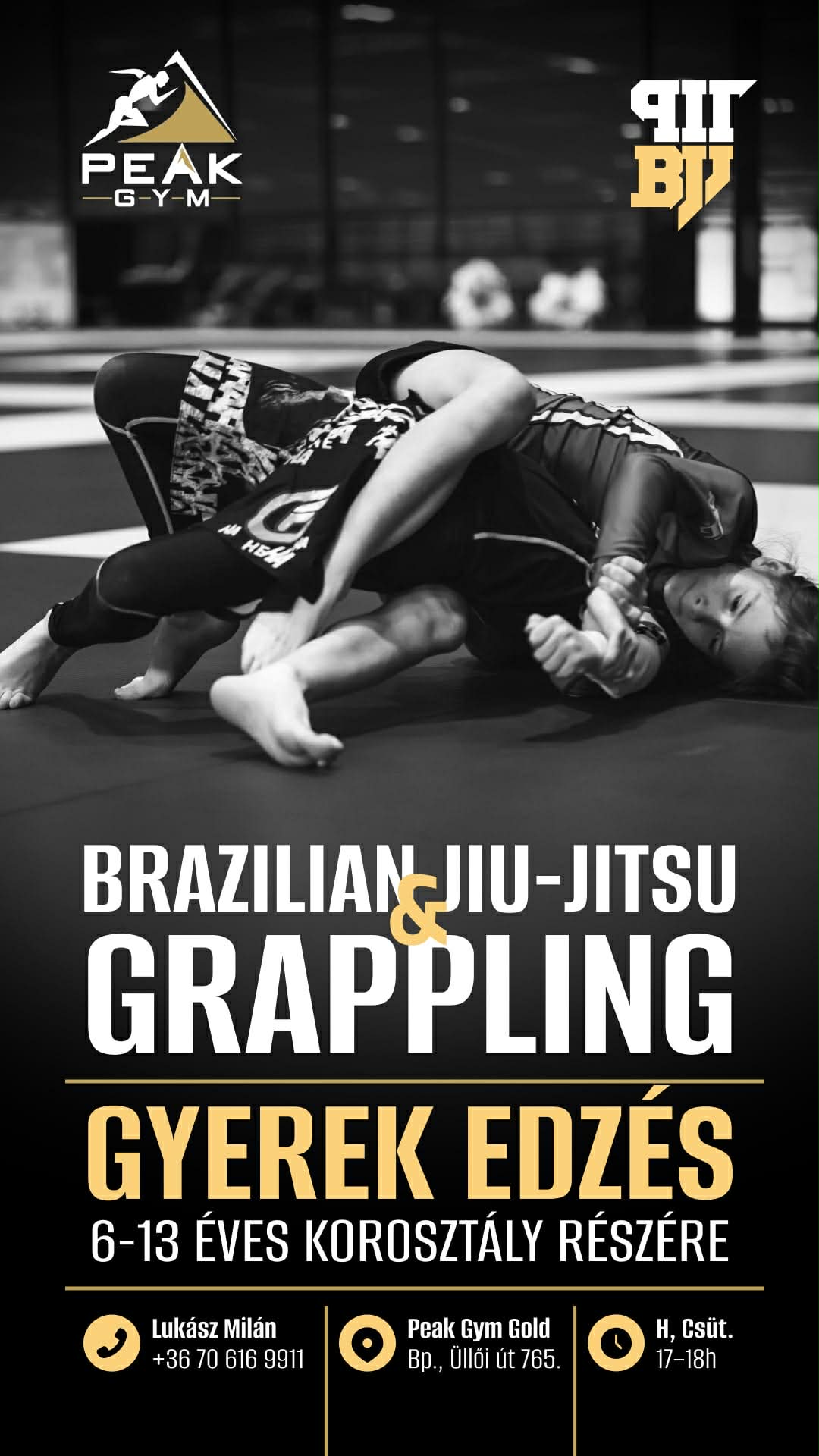 Kids BJJ Poster