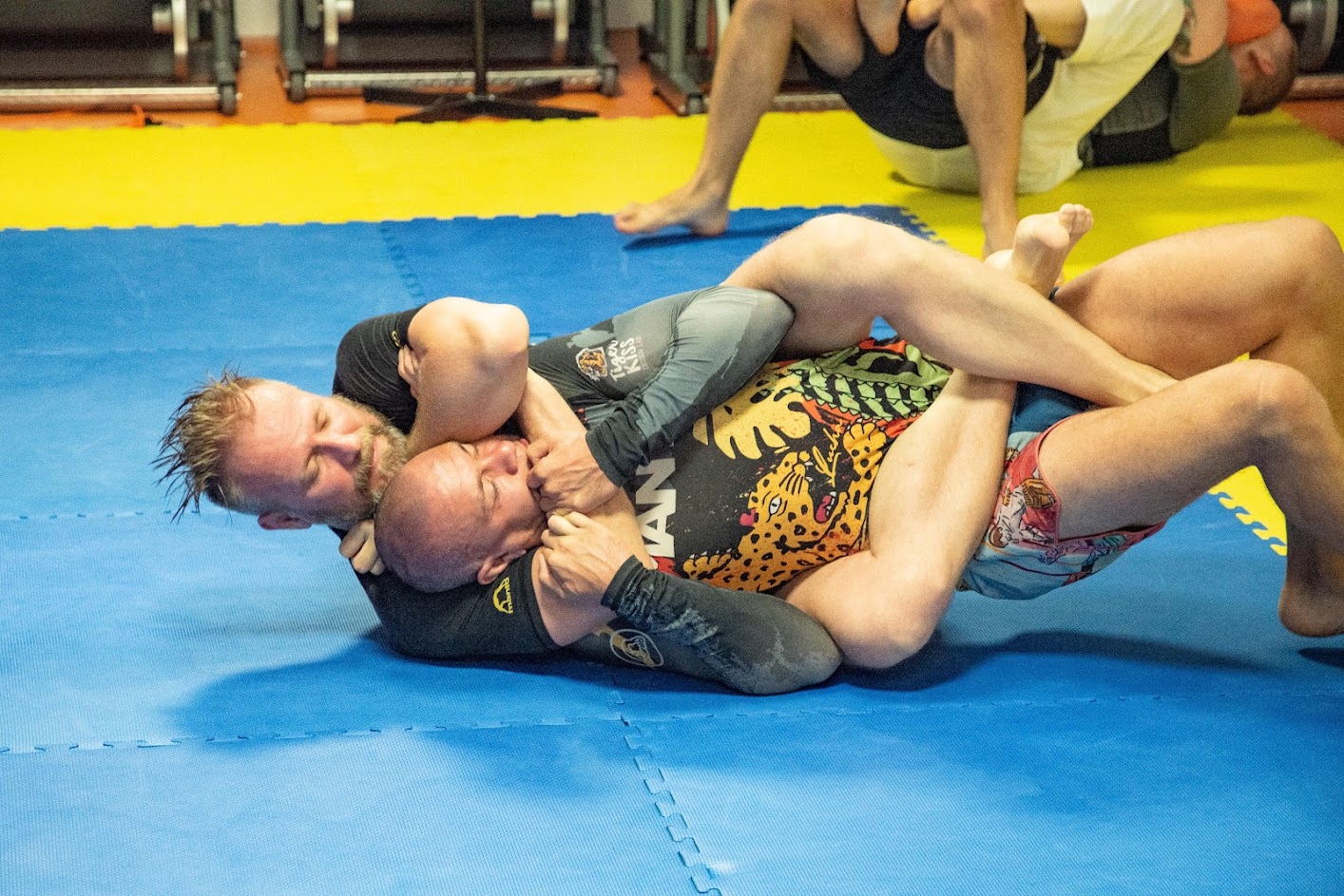 Jiu-Jitsu technika